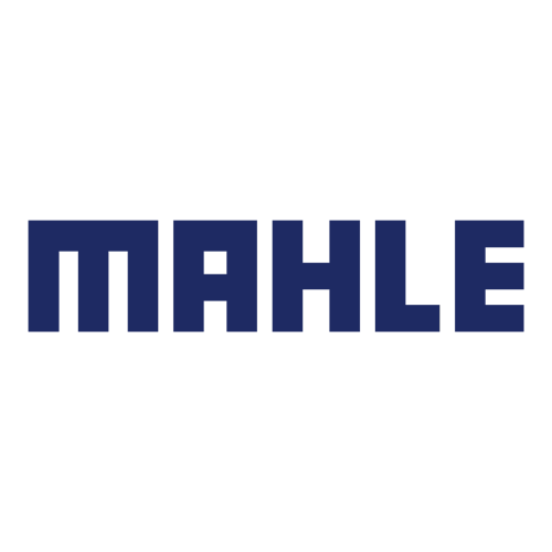 Referenz Mahle | EQS Group