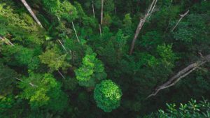 „Wenn Unternehmen die ESG-Kriterien nicht berücksichtigen, werden sie sich ihr Geschäft nicht mehr leisten können“